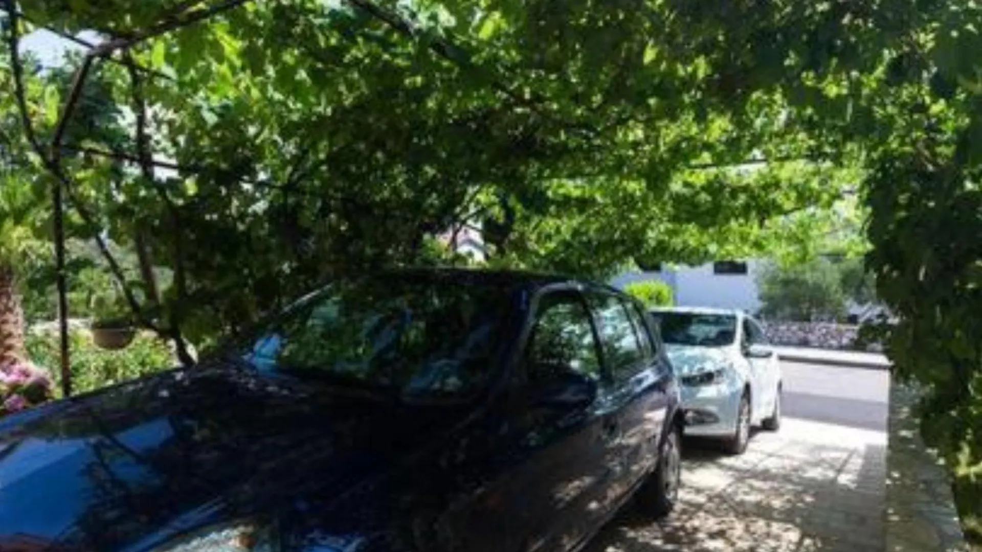 Apartments Marko Novi Vinodolski Croatia